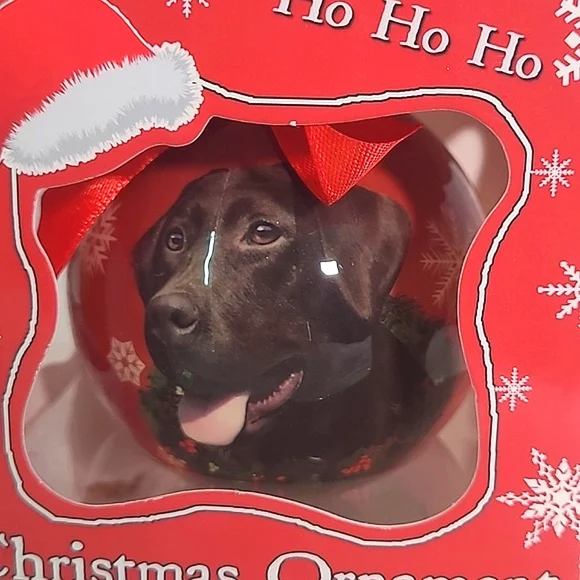 🆕️ Kirkland's Christmas Ornament Labrador Retreiver Lab Dog Pair of Ornaments - Picture 13 of 15